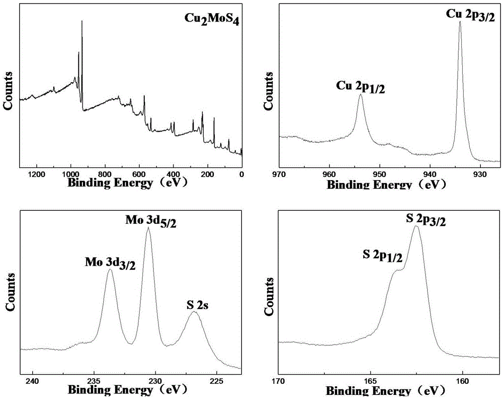 Preparation method of zigzag Cu2MoS4 nanosheet and application in electrocatalysis and photocatalysis