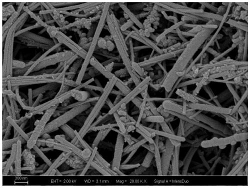 Preparation and application of silicon nitride coated carbon nano tube