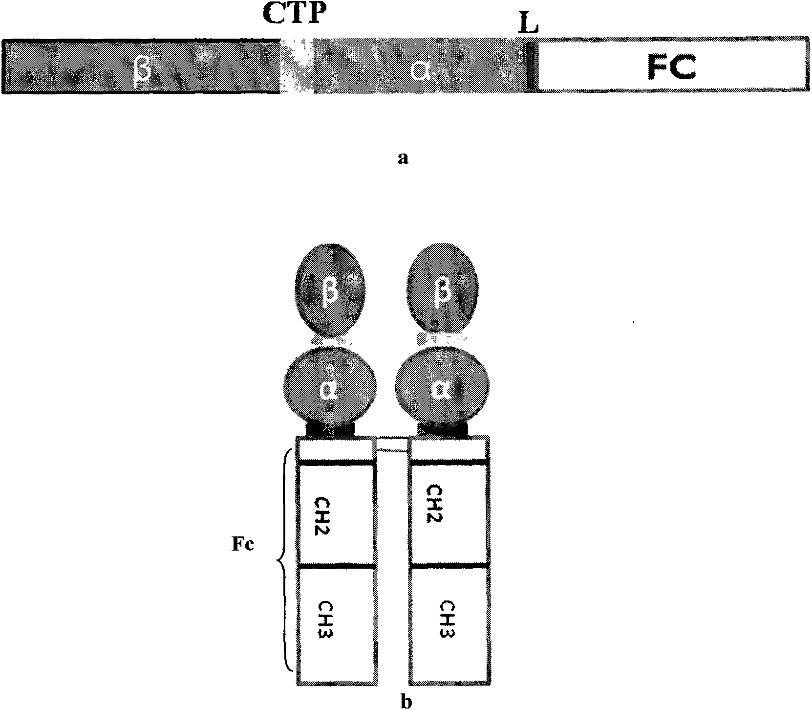 Long-acting recombinant follicle-stimulating hormone and application thereof