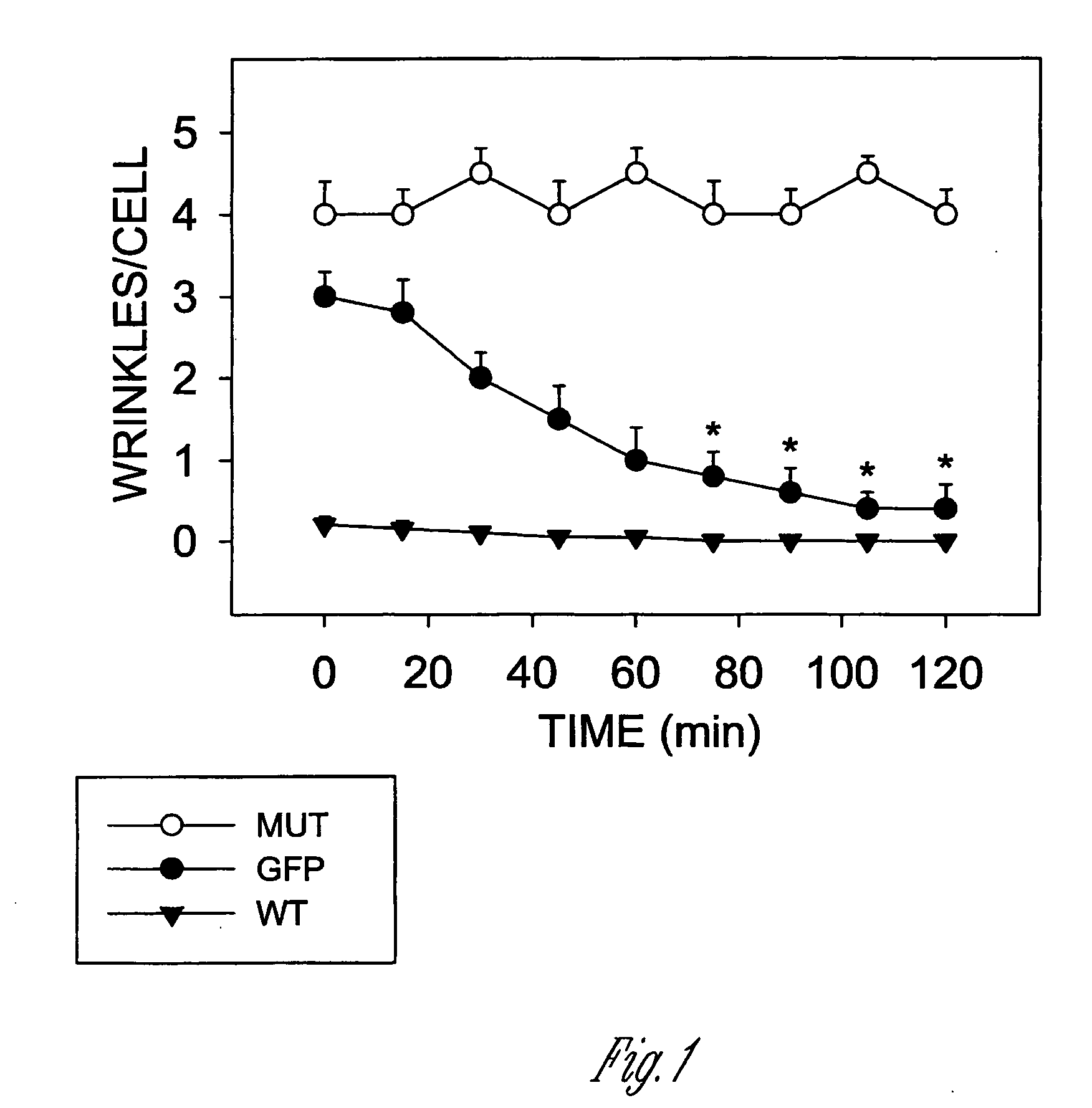 Reagents and methods for smooth muscle therapies