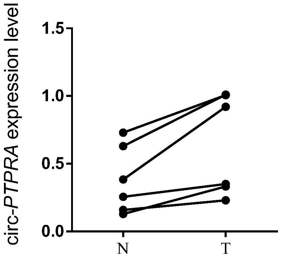 Uses of circular RNA circ-PTPRA