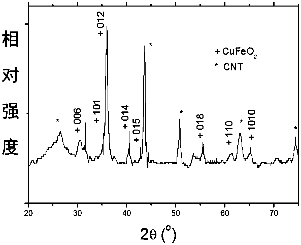 A kind of cufeo2-carbon nanotube nanocomposite and its synthesis method