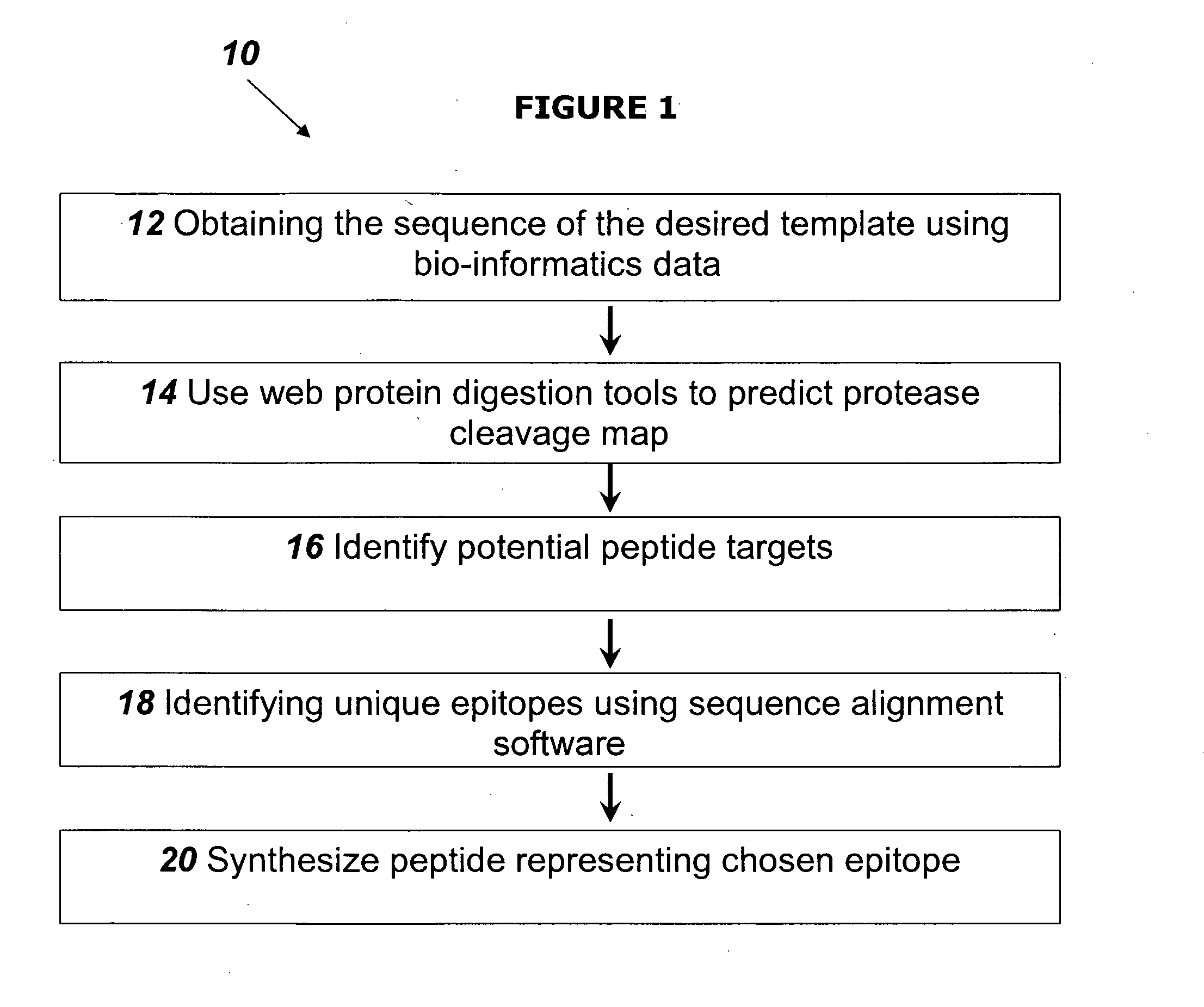 Method for preparing protein imprinted polymers and use thereof