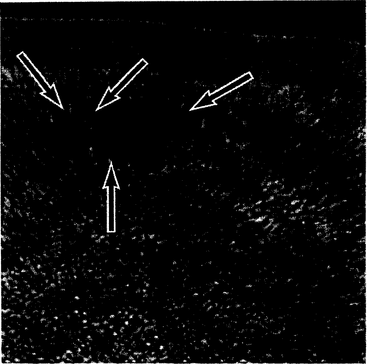 Method of three dimensional display for filtered faultage radiography after reproducing three-dimensional data successfully