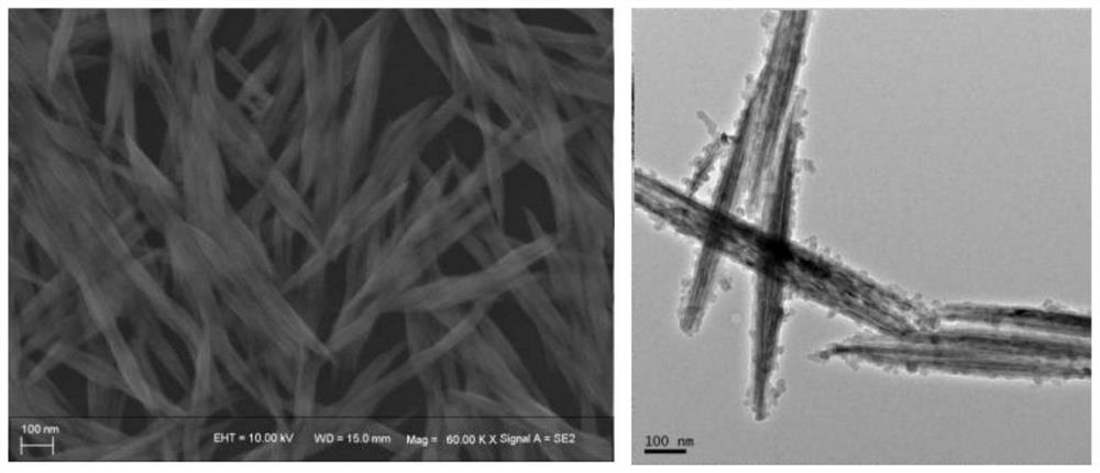 Tungsten oxide-polypyrrole core-shell heterostructure nanowires and preparation method thereof