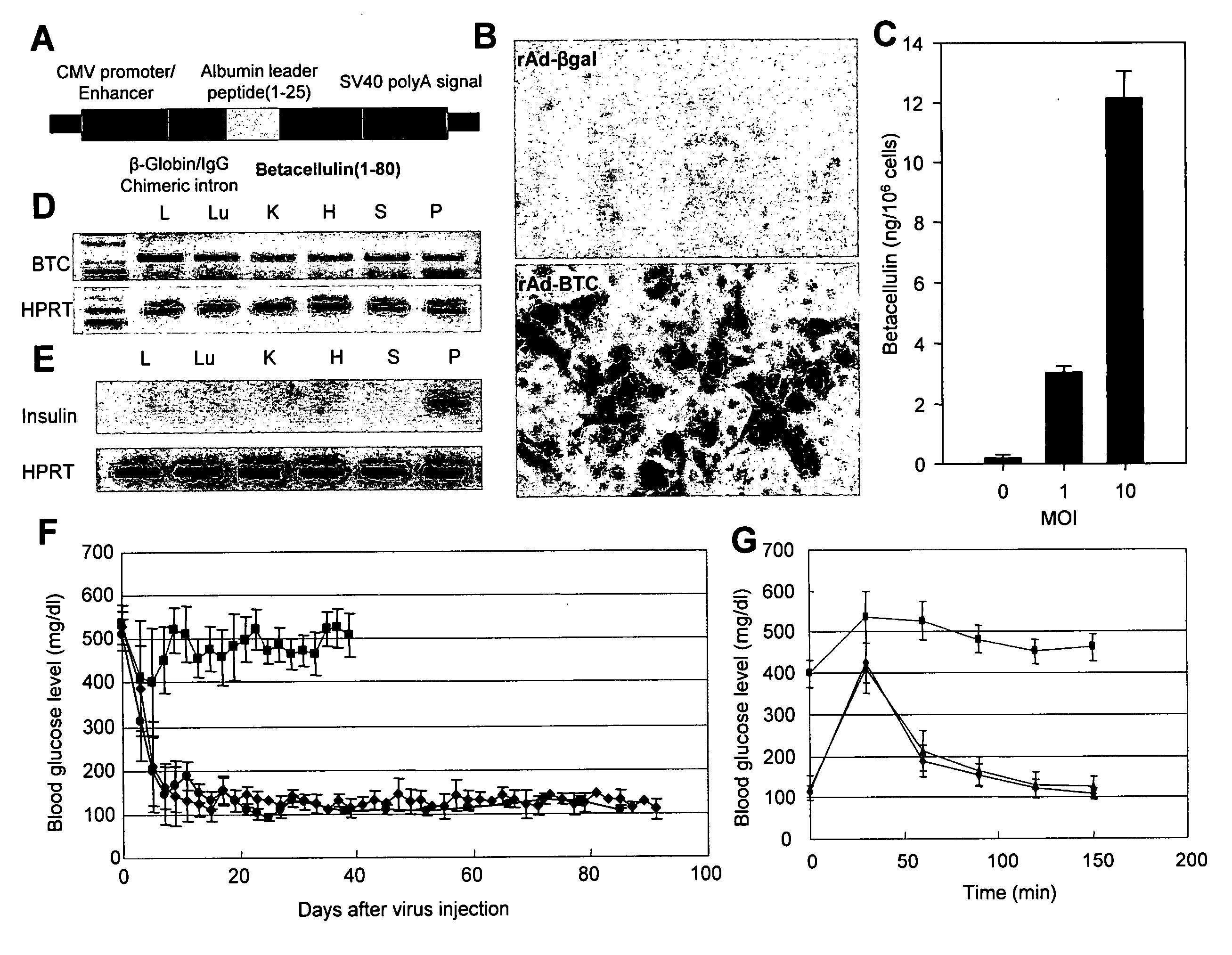 Compositions and methods for the therapeutic treatment of diabetes