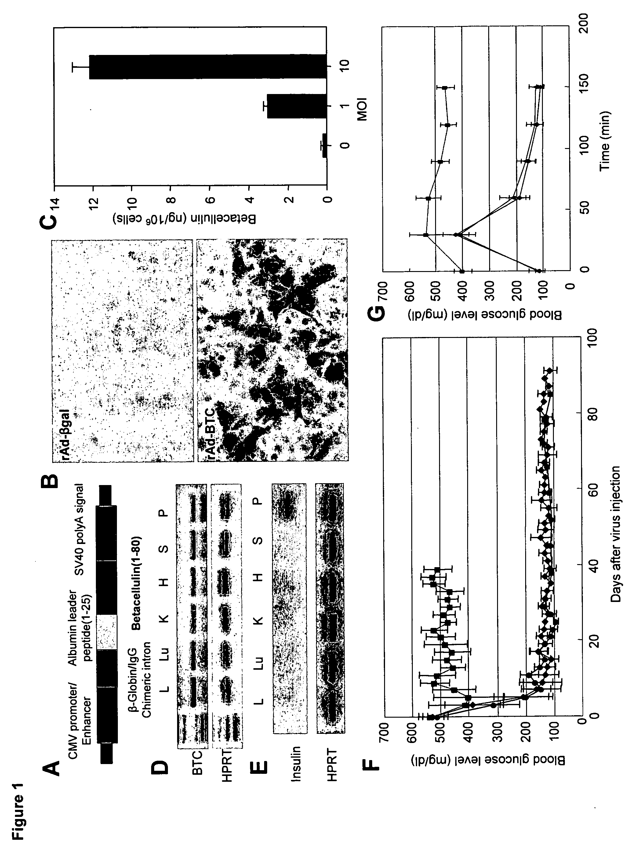 Compositions and methods for the therapeutic treatment of diabetes