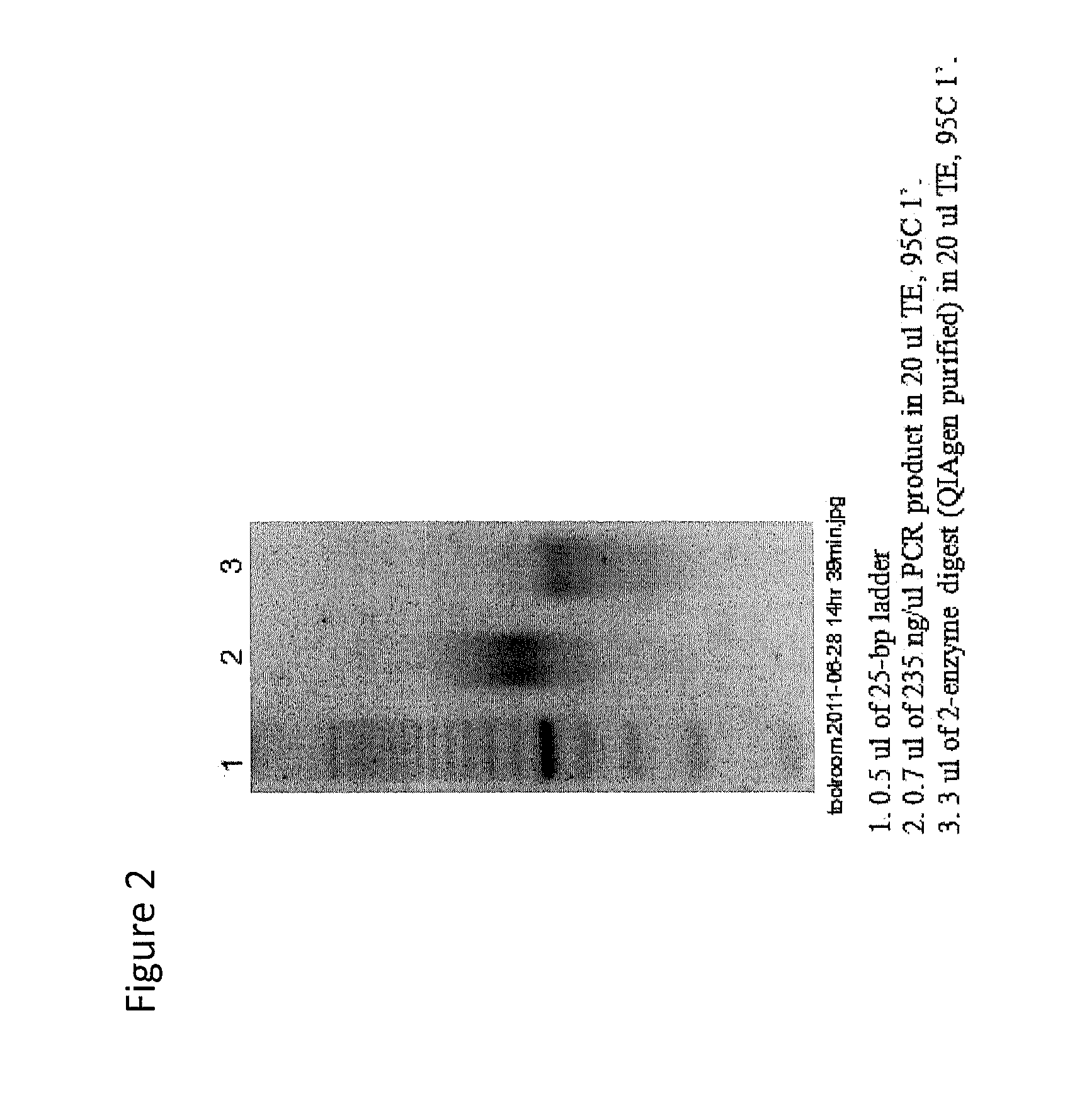 Sequence capture method using specialized capture probes (heatseq)