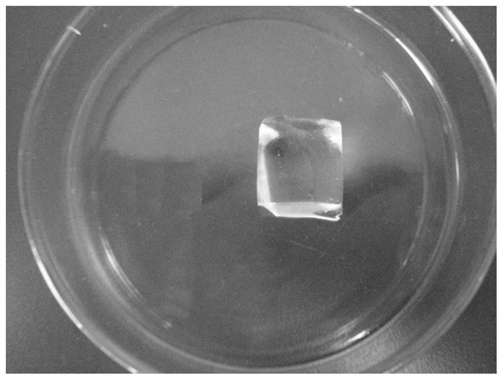A silk fibroin/functionalized polytrimethylene carbonate hydrogel for repairing endometrium and its preparation method