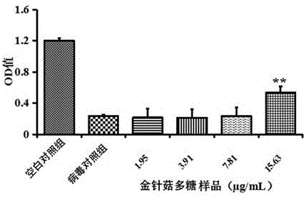 Flarnmulina velutipes polysaccharide and preparation method thereof