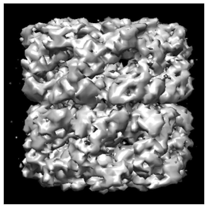 Implementation method of single particle image clustering for cryo-EM based on graph convolutional autoencoder