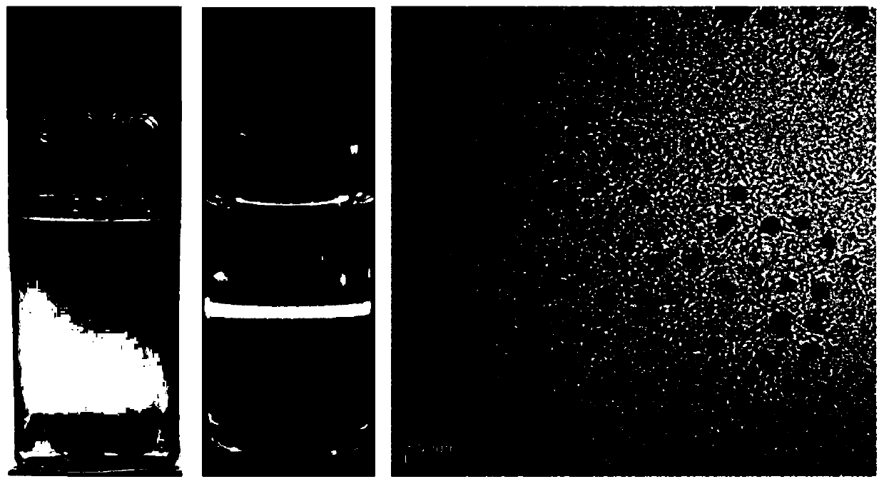 Metal nanocrystalline-anchoring molecule synergistic passivation perovskite solar cell and preparation method thereof