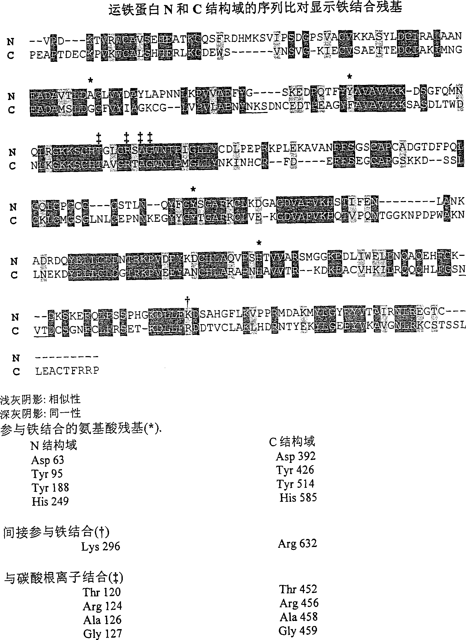 Modified transferrin fusion proteins