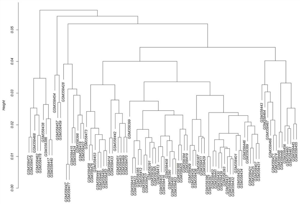 A prognostic marker gene and random survival forest model for recurrence prediction of stage II colorectal cancer