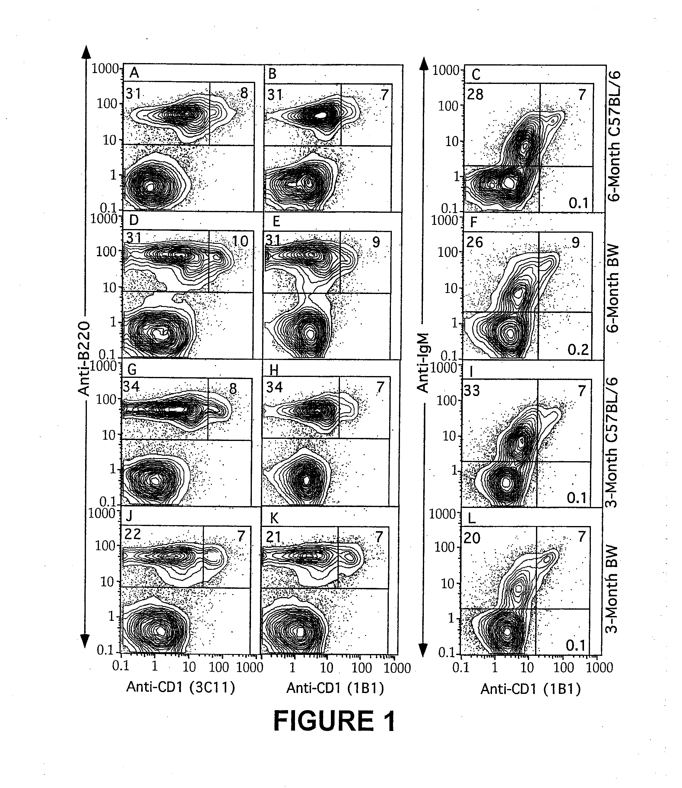 Methods for inhibition of polyclonal b cell activation and immunoglobulin class switching to pathogenic autoantibodies by blocking cd1-mediated interactions