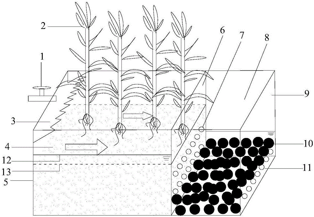 Combined purification system of reed wetland and composite porous media ball and its construction method and application