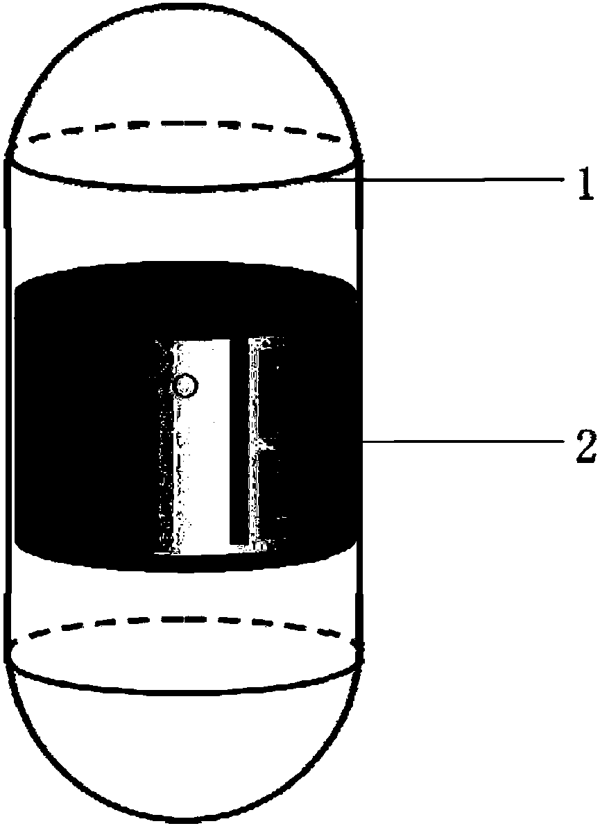 Multi-polarization conformal antenna used for capsule endoscope