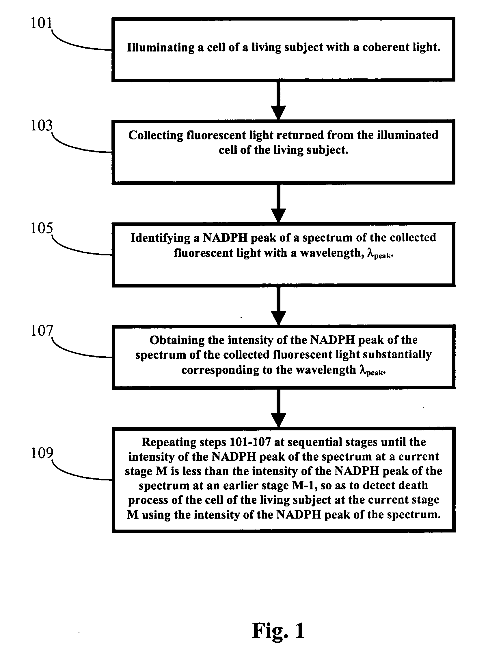 Method and apparatus for optical spectroscopic detection of cell and tissue death