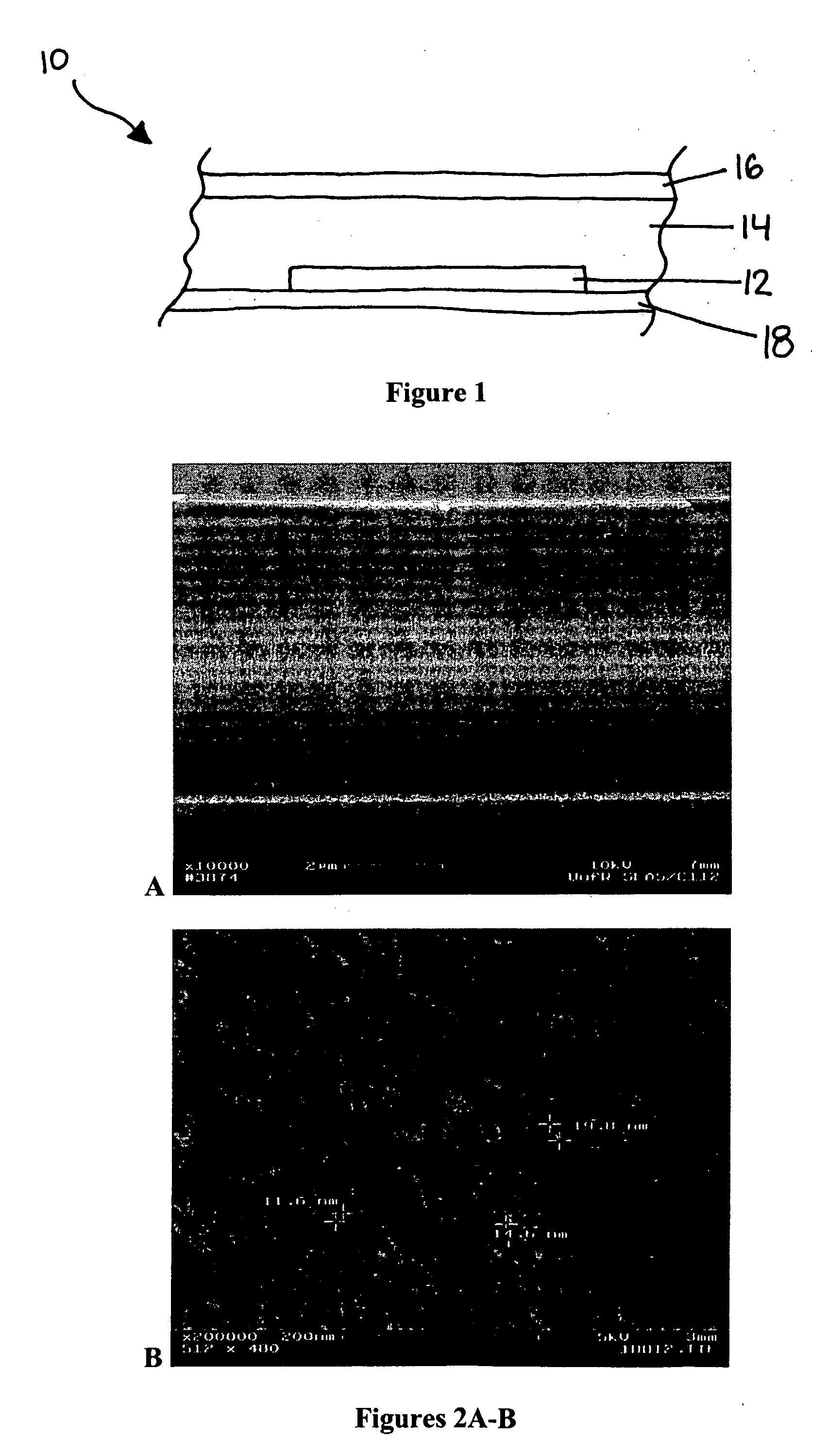 Hydrogel-supported porous semiconductor devices