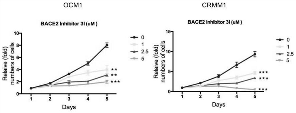 Application of BACE2 inhibitor in preparation of medicine for treating eye melanoma