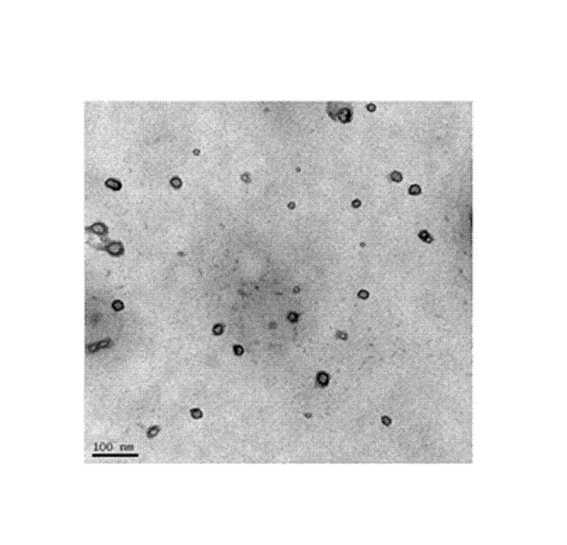 Purpose of immunological nanoparticles of brucine in preparing anti-hepatoma target drugs
