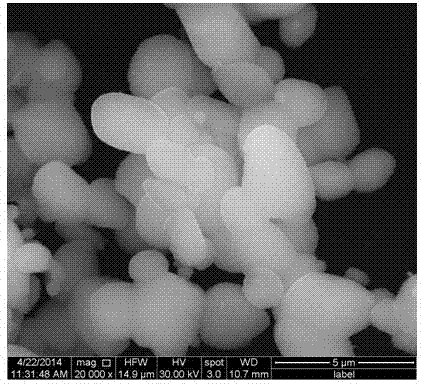 Preparation method of olivine type phosphate positive electrode material for lithium ion battery