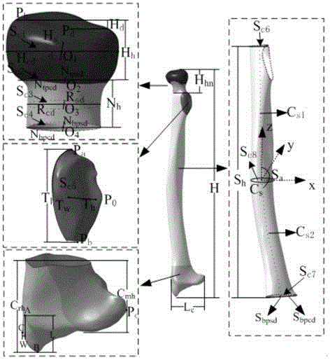 Characteristic parameter based bone fracture plate serial design method