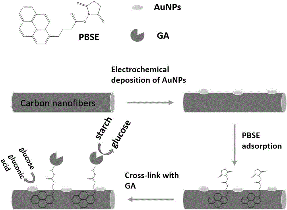 Glucoamylase and nanogold co-doped carbon nanomaterial hybrid anode-based starch biofuel cell