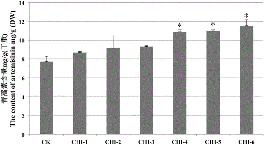 Method for increasing content of artemisinin in Artemisia annua L. by genetic modification with CHI (chalcone Isomerase) genes