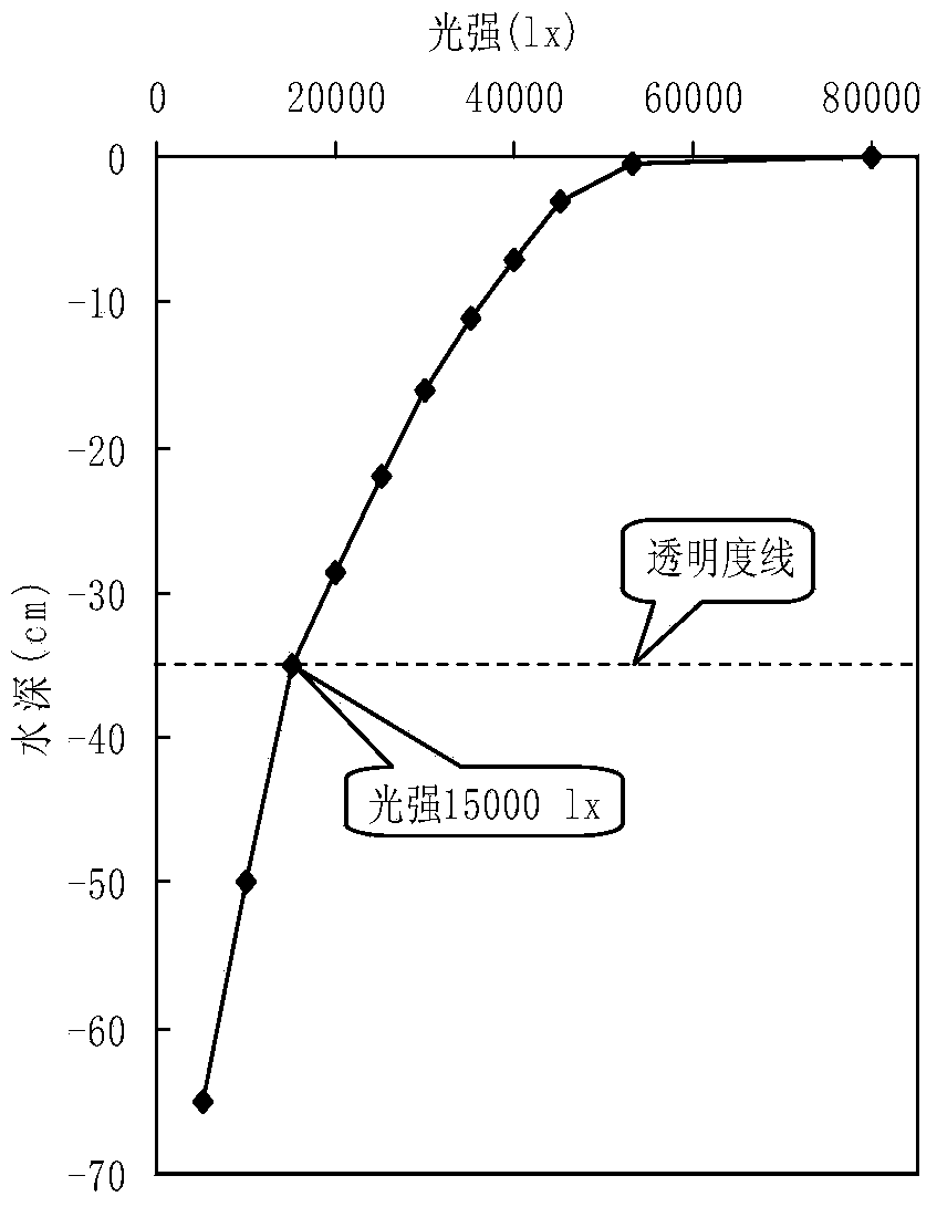 Water depth regulation and control method in gracilaria pond cultivation