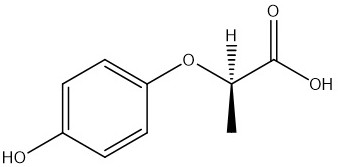 Preparation method of R-(+)-2-(4-hydroxyphenoxy) propionic acid