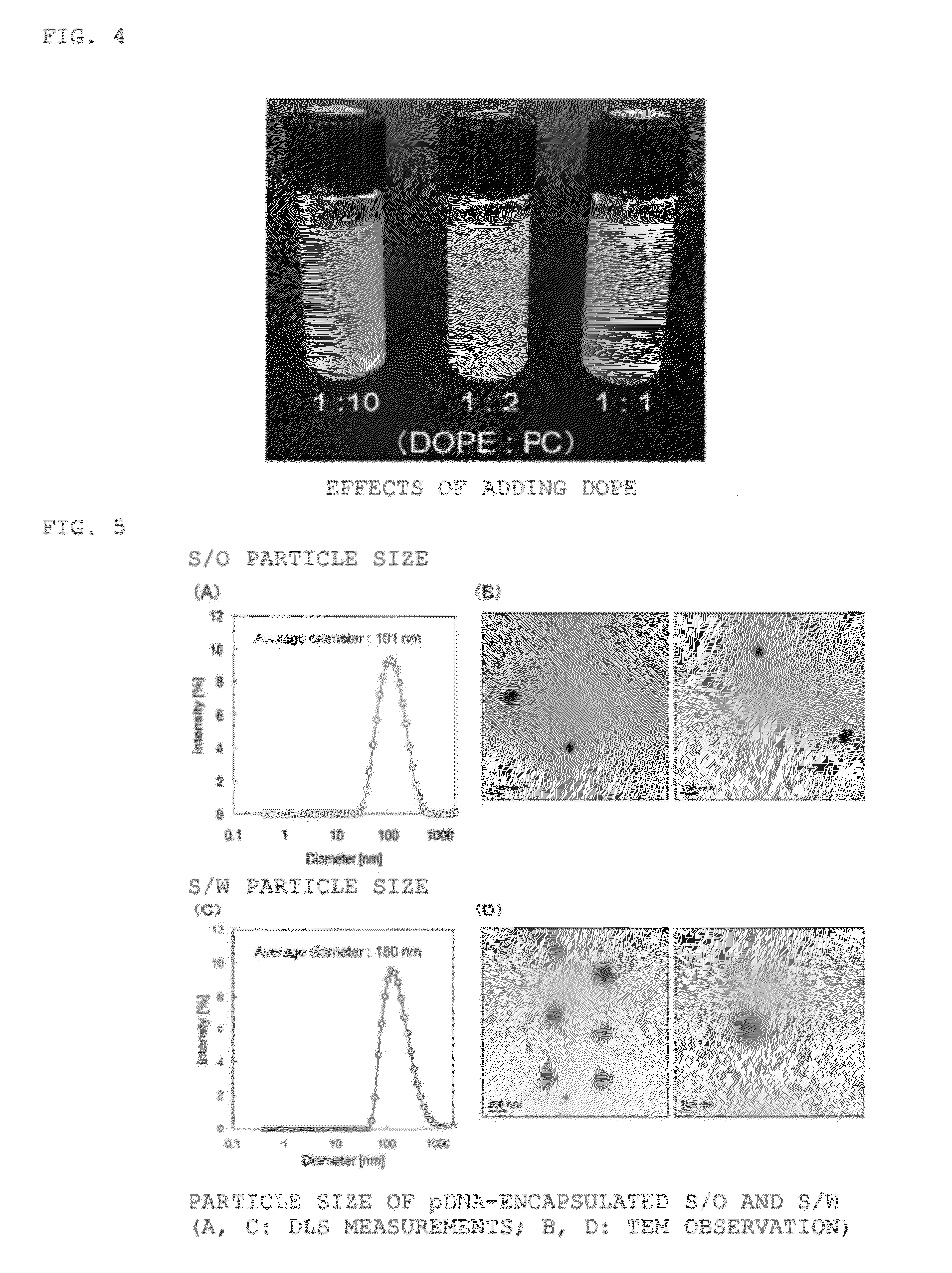 Water-soluble drug carrier and process for producing the same