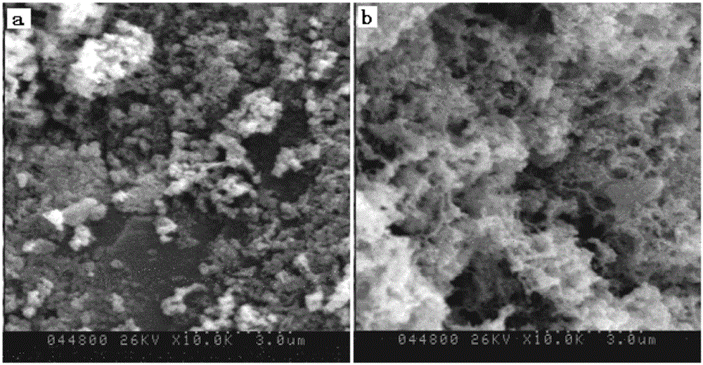 A kind of adsorbent for treating acrylonitrile wastewater and its preparation method and application