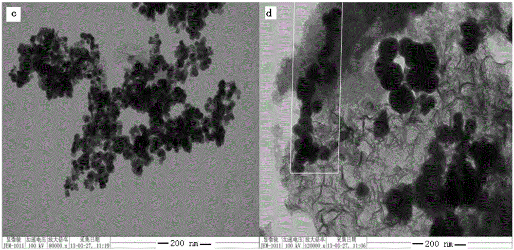 A kind of adsorbent for treating acrylonitrile wastewater and its preparation method and application