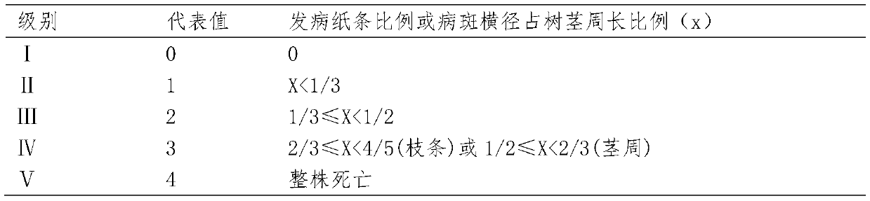 A kind of twig palm extract bactericide and preparation method thereof