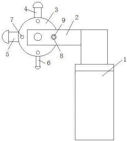 Spraying device for rosewood furniture