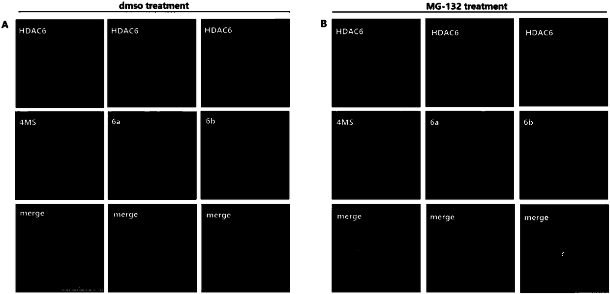 Fluorescent selective histone deacetylase inhibitor and preparation method and application thereof