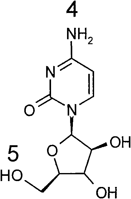 Cytarabine prodrug derivatives and purposes thereof in resisting cancers and tumors