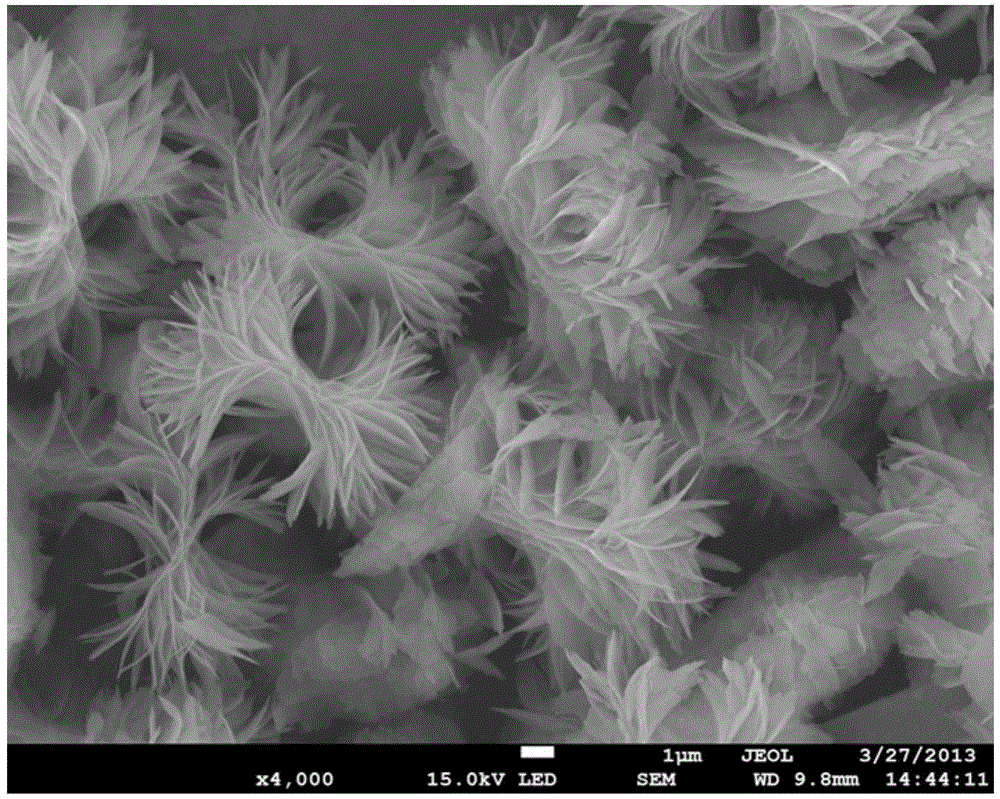 A lithium iron phosphate electrode material with three-dimensional hierarchical structure and preparation method thereof