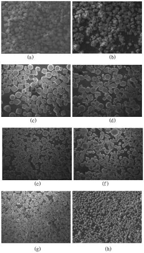 Method for controlling mutual transformation between calcite and vaterite by using calcium source concentration