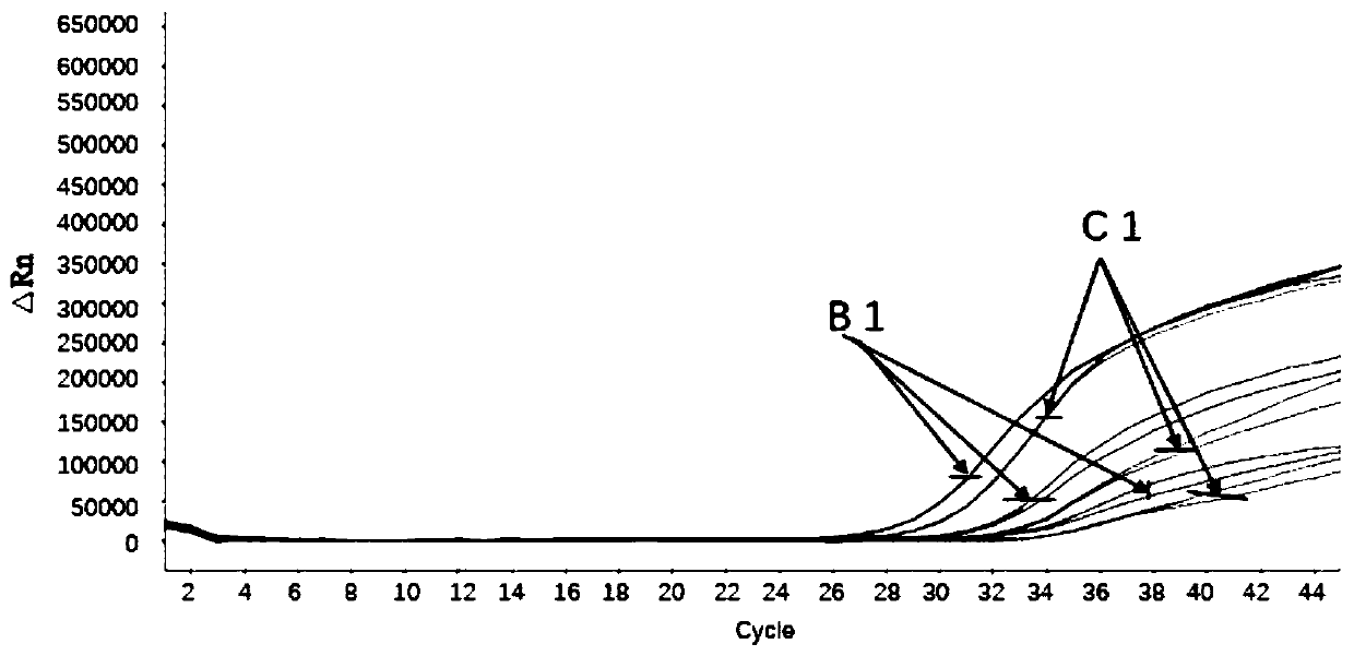 Freeze-drying protective agent and freeze-drying method of RNA amplification reaction reagent