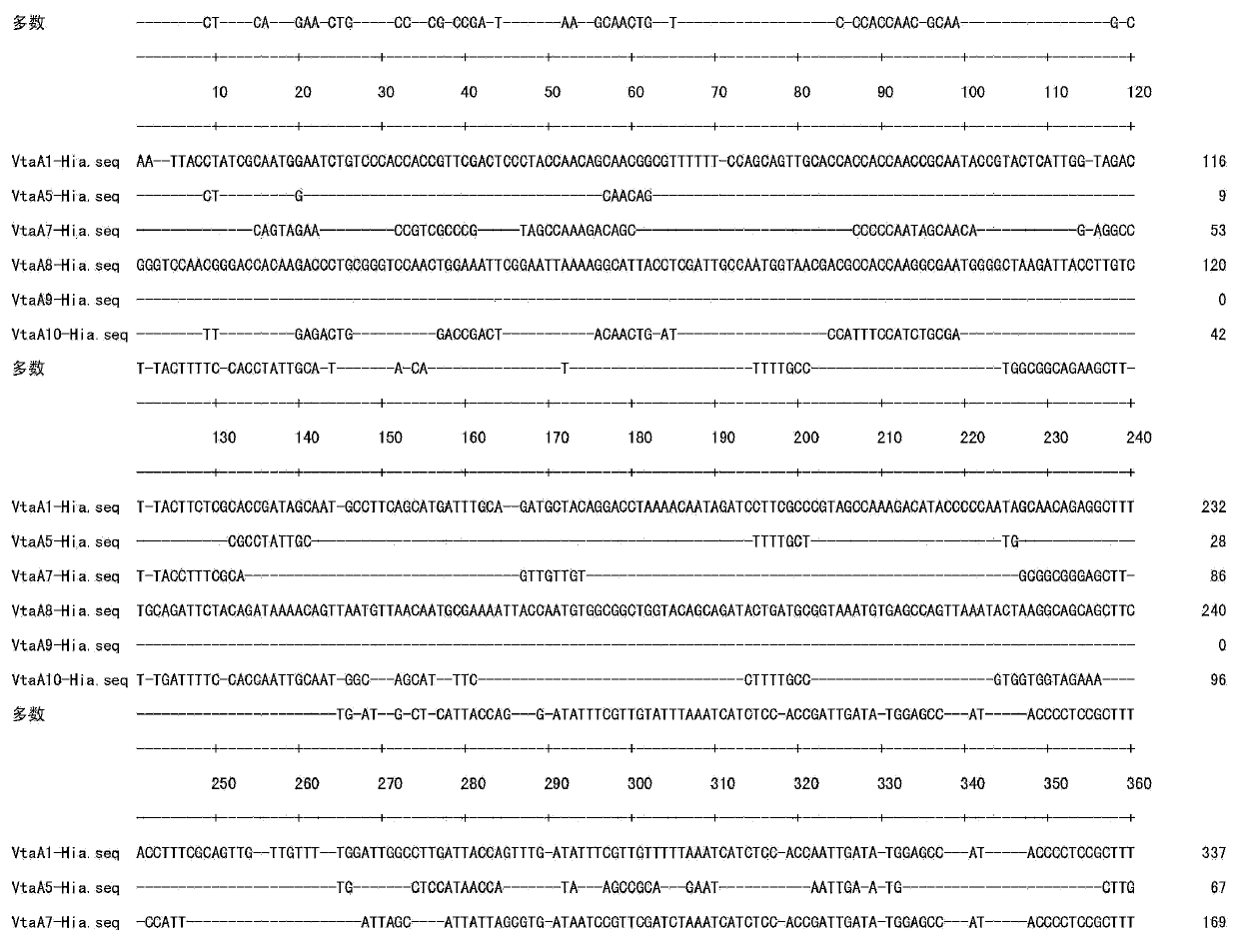 Primer group using vtaA9 gene as target spot and application of primer group to identification and diagnosis of haemophilus parasuis