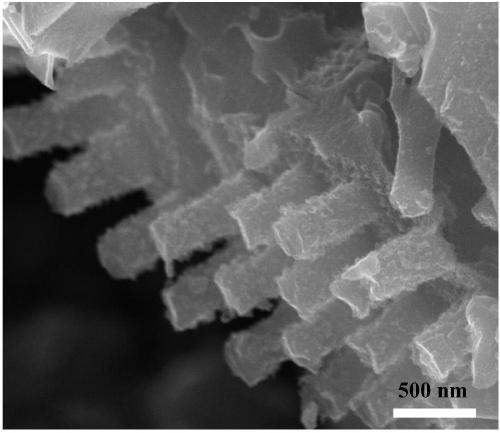 Graded porous carbon material and supercapacitor prepared therefrom