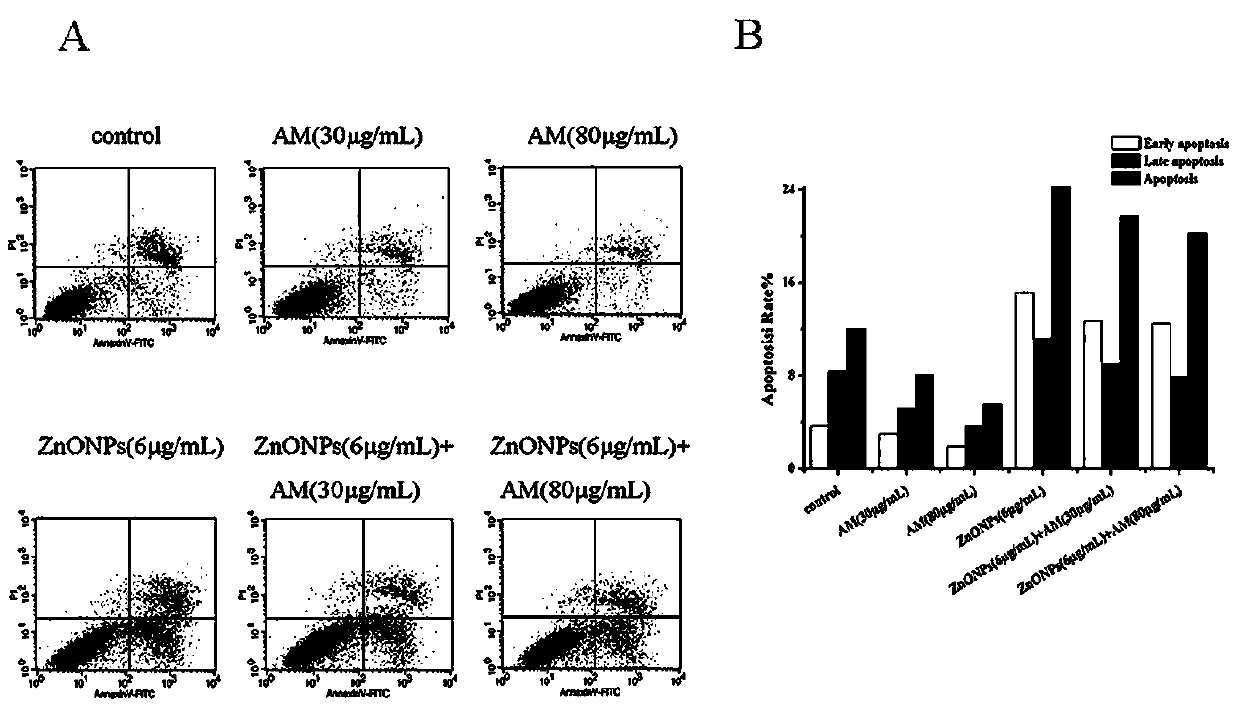 Application of astragaloside IV in reduction of nanometer zinc oxide-induced neurotoxicity