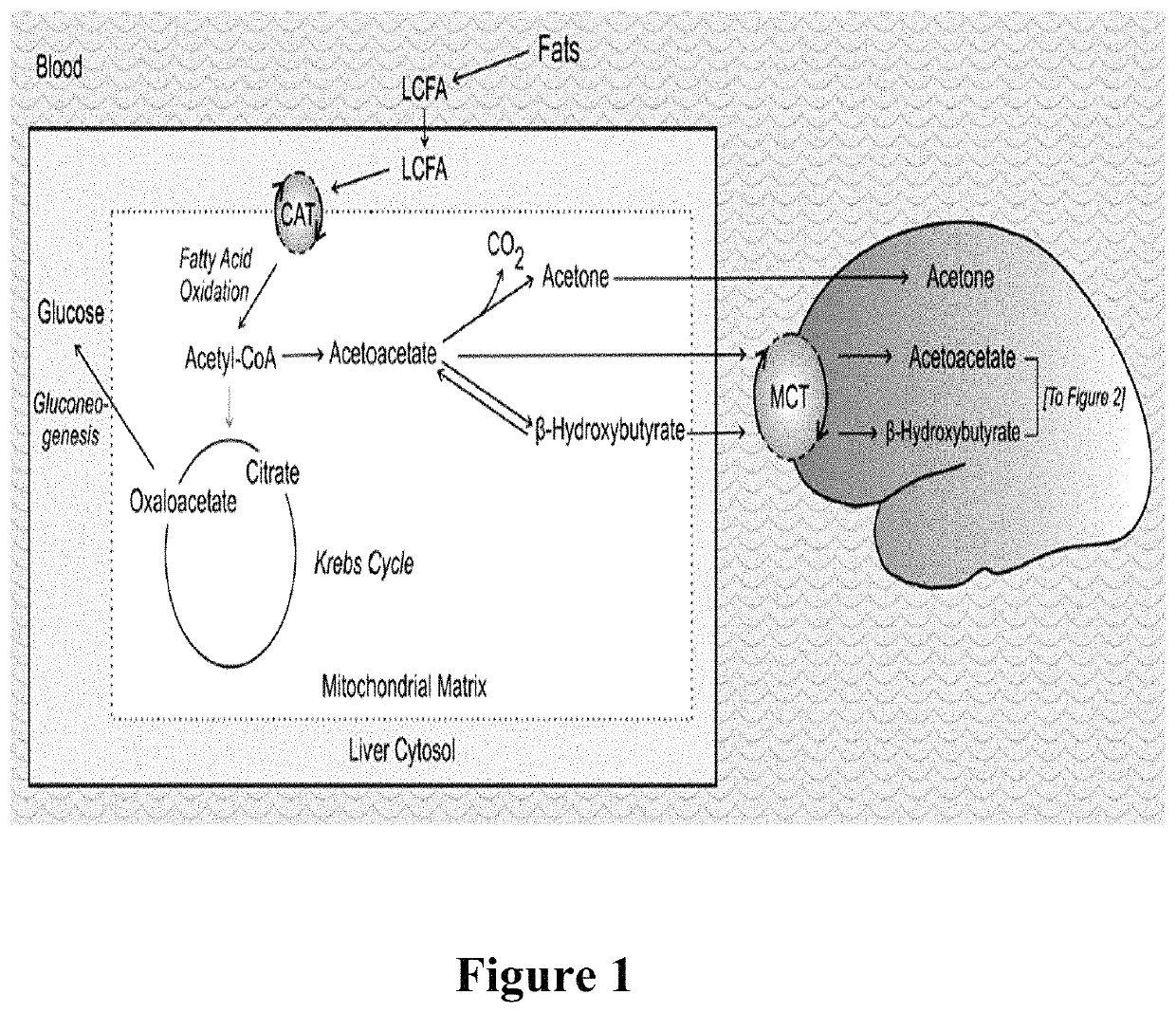 Use of ketone esters for prevention of CNS oxygen toxicity