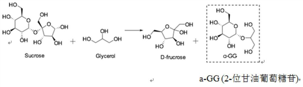 Sucrose phosphorylase mutant and its application in the production of glycerol glucoside