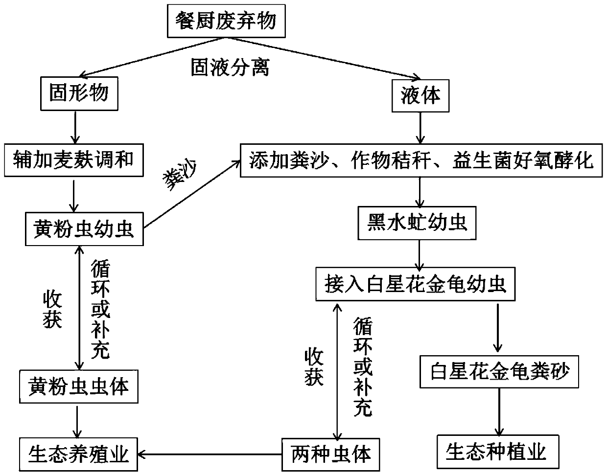 Method for continuously converting kitchen waste by using three kinds of environmental insects