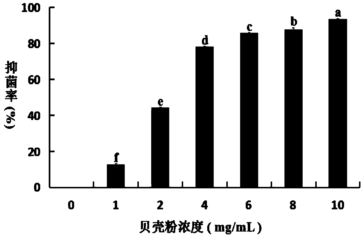 Application of shell powder of mytilus coruscus in aspect of bacteriostasis of marine bacteria
