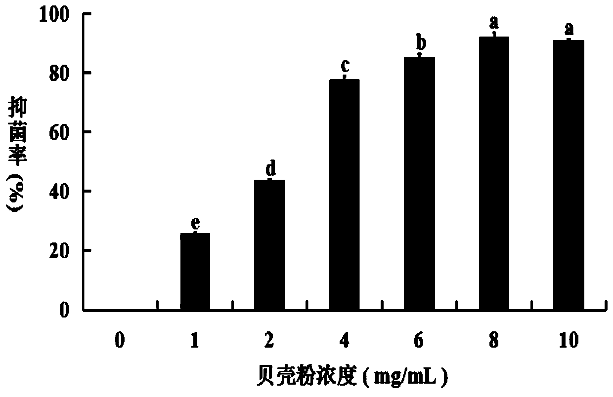 Application of shell powder of mytilus coruscus in aspect of bacteriostasis of marine bacteria