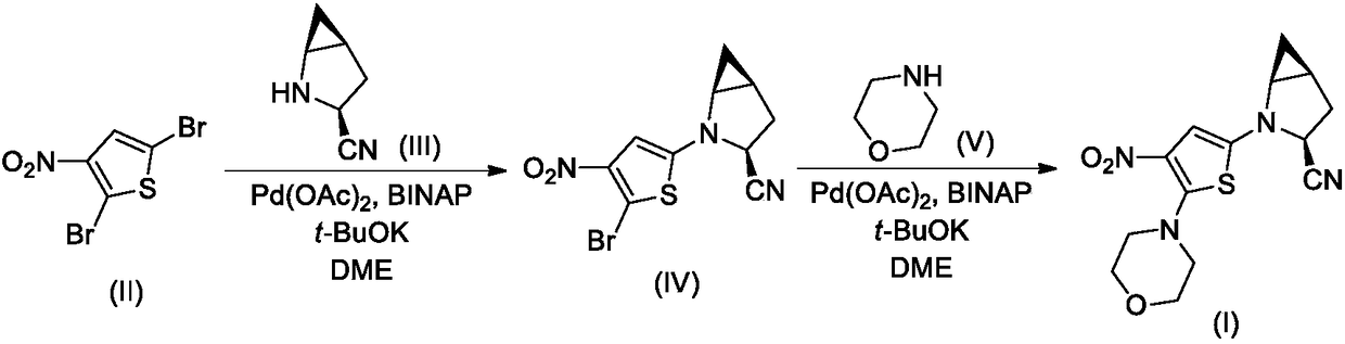 Nitrothiophene bicyclic nitrile compounds and application thereof